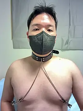 wolfdogwip online show from 06-15-26, 11:56