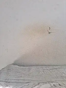 Snapshot of jujuhpimenta chatting on 11-12-25, 11:21 jujuhpimenta online show from 11-12-25, 11:21