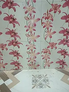 Snapshot of Meenaksi-singh chatting on 10-12-25, 03:00 Meenaksi-singh online show from 10-12-25, 03:00