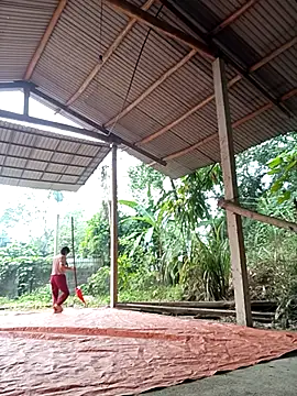 NG N online show from 11-17-25, 12:27