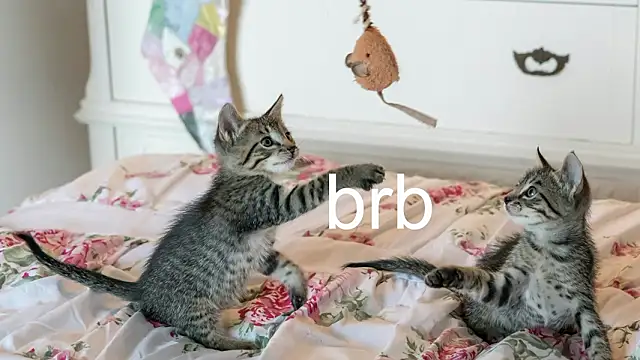 Snapshot of Pink_girl0n chatting on 03-18-26, 09:51 Pink girl0n online show from 03-18-26, 09:51