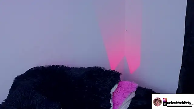 celestte evans 1 online show from 02-08-26, 06:17