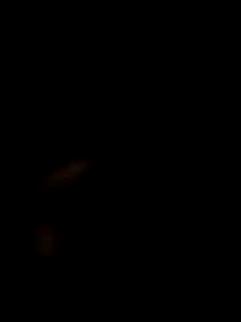 SofieLove 01 online show from 12-01-25, 07:35