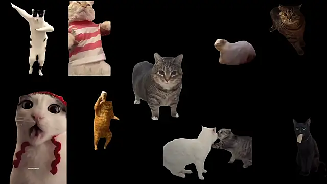 ch0wn m online show from 09-20-25, 11:55