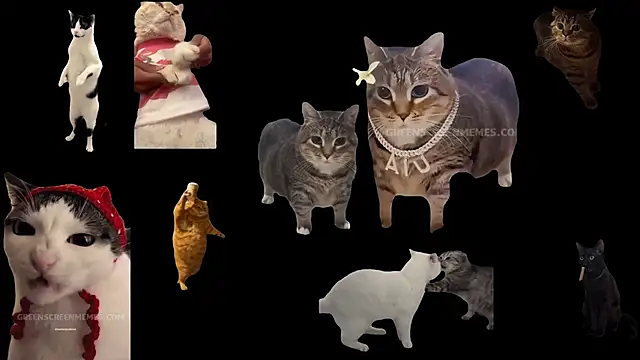 ch0wn m online show from 10-24-25, 10:44