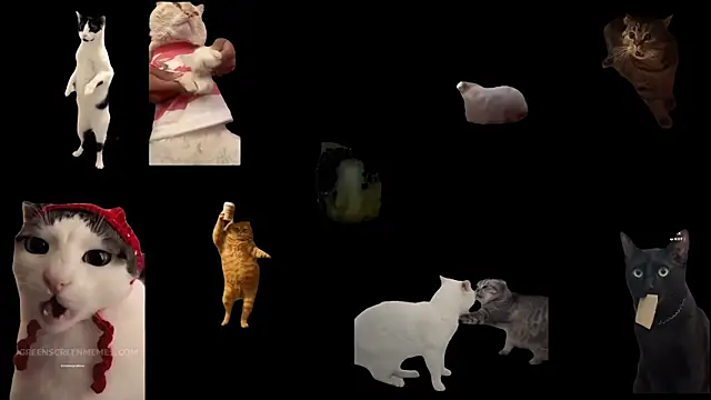 ch0wn m online show from 11-19-25, 12:38