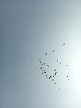 amitkumarkangra online show from 12-19-25, 06:53