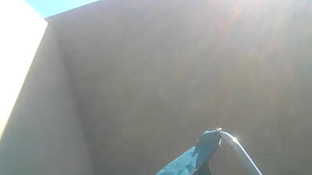 cuminsidebby online show from 06-01-26, 07:54