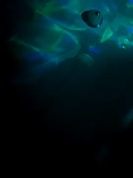 Snapshot of tyrek5051 chatting on 10-31-25, 07:20 tyrek5051 online show from 10-31-25, 07:20