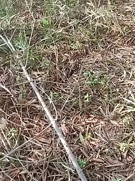 Snapshot of sonotutto chatting on 10-11-25, 08:02 sonotutto online show from 10-11-25, 08:02