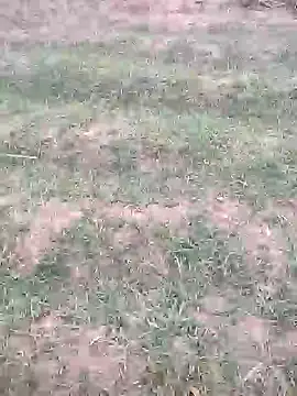 Snapshot of sonotutto chatting on 10-12-25, 05:56 sonotutto online show from 10-12-25, 05:56