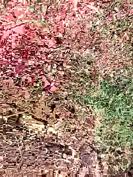 Snapshot of sonotutto chatting on 10-15-25, 08:36 sonotutto online show from 10-15-25, 08:36