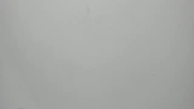 Snapshot of invincible200 chatting on 09-15-25, 01:55 invincible200 online show from 09-15-25, 01:55