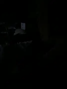 Reeelo online show from 12-15-25, 04:06