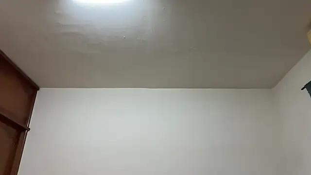 Foxfoxfox4 online show from 02-17-26, 03:29