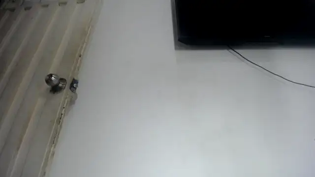 Foxy Lovex online show from 04-25-26, 01:41