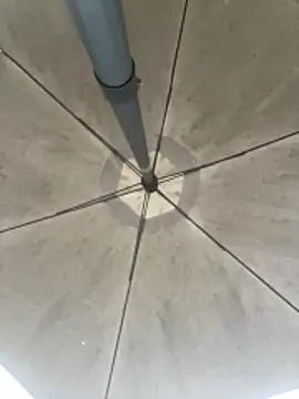 Sallem Pink online show from 03-06-26, 11:17