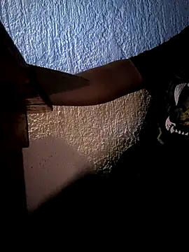 Mancho2289 online show from 04-22-26, 05:43