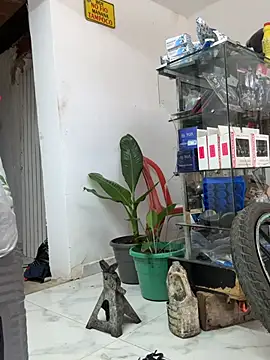 Terra-22cm online show from 04-19-26, 06:10