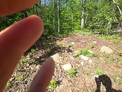 sloppytopkins online show from 04-20-26, 02:42