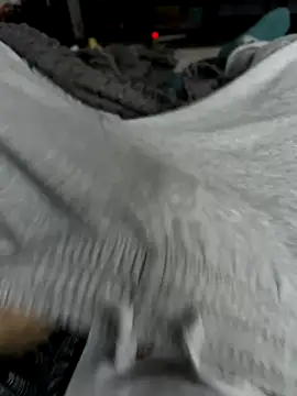 Snapshot of Frankieyyy1 chatting on 11-28-25, 07:44 Frankieyyy1 online show from 11-28-25, 07:44