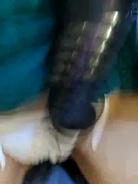 Bee sweet online show from 02-22-26, 09:41