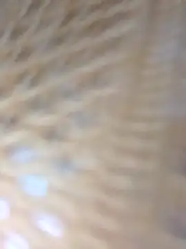 Monika Telugu Girl online show from 09-09-25, 12:37