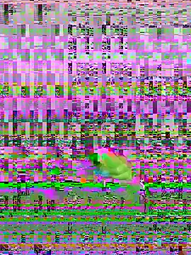 Snapshot of bihf_dam chatting on 04-14-26, 08:48 bihf dam online show from 04-14-26, 08:48