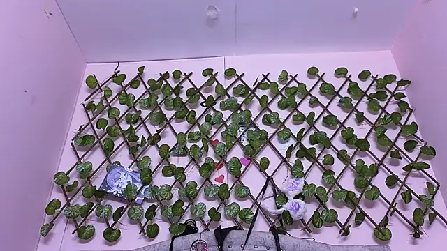 Snapshot of katalinathxandbritney1 chatting on 09-24-25, 05:05 katalinathxandbritney1 online show from 09-24-25, 05:05