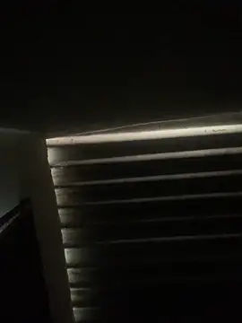 envolvemteX online show from 03-01-26, 10:17