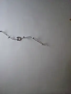 Snapshot of Hamutip chatting on 10-31-25, 12:50 Hamutip online show from 10-31-25, 12:50