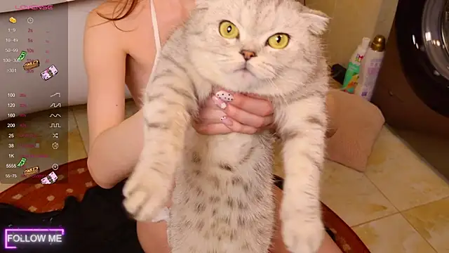 Angell Wild online show from 11-24-25, 03:01