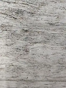 hot plak online show from 12-02-25, 05:08