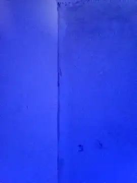 RandalHot online show from 11-23-25, 02:06