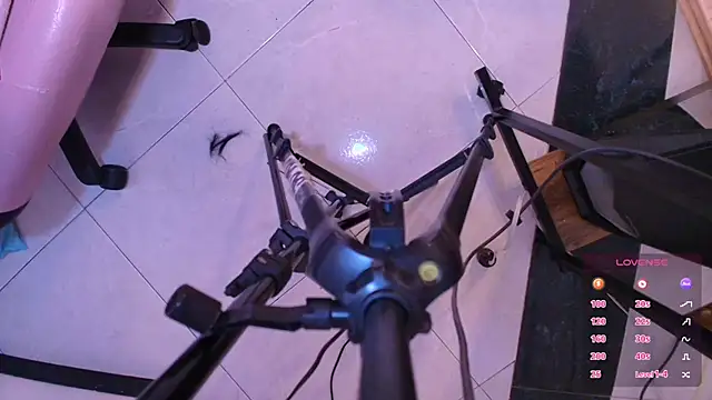 Terraelowen online show from 11-01-25, 11:45