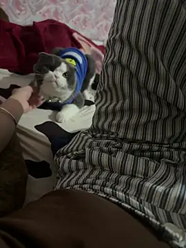 keelinnn19 online show from 02-18-26, 02:02