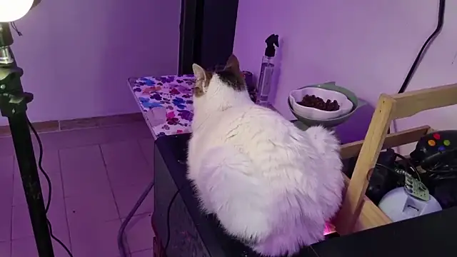 Lovers cave online show from 12-19-25, 02:07