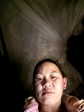 MaiHoa69 online show from 02-11-26, 11:43