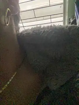 Abby-LS online show from 05-27-26, 11:40