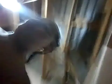 Snapshot of BigAssjuicy26 chatting on 10-27-25, 10:14 BigAssjuicy26 online show from 10-27-25, 10:14