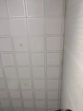 Snapshot of onao7 chatting on 04-03-26, 03:37 onao7 online show from 04-03-26, 03:37