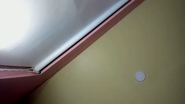 Snapshot of StarletTays chatting on 11-28-25, 09:50 StarletTays online show from 11-28-25, 09:50