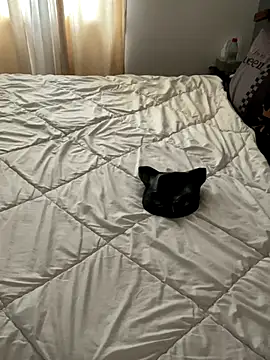 Snapshot of LesAmantsAE2 chatting on 10-11-25, 08:13 LesAmantsAE2 online show from 10-11-25, 08:13