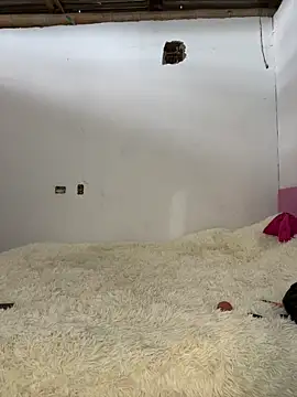 Alexis Spicter online show from 12-13-25, 08:58