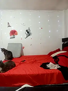 Lady 16 online show from 02-17-26, 01:57