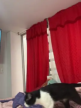 larsonbeverly online show from 04-21-26, 05:50