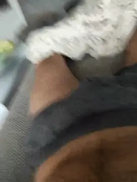 hansvonerotic1 online show from 12-02-25, 11:59