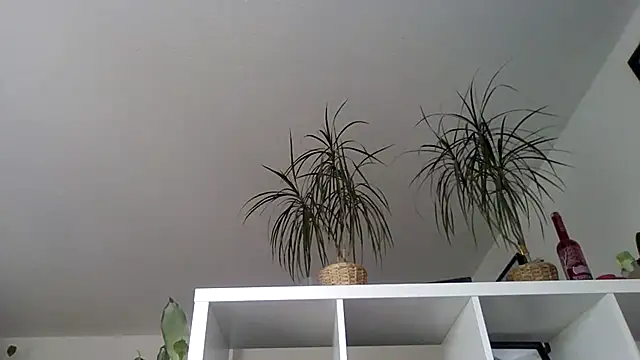 bigcockjohnxxxxx online show from 11-13-25, 11:20