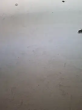 msandmr online show from 11-19-25, 04:34