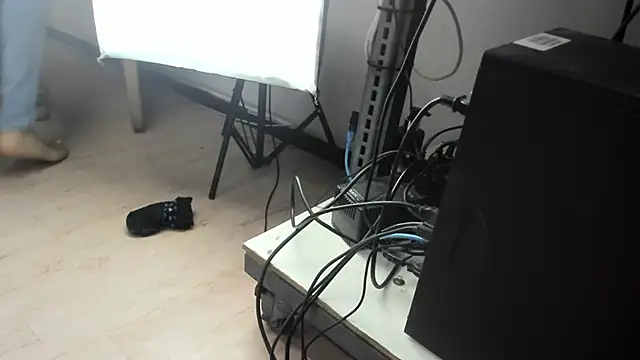 pandora78kyle online show from 11-11-25, 12:38